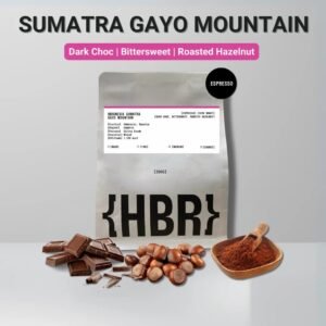Sumatra Gayo Mountain Coffee Bean | Dark Roast 100% Arabica